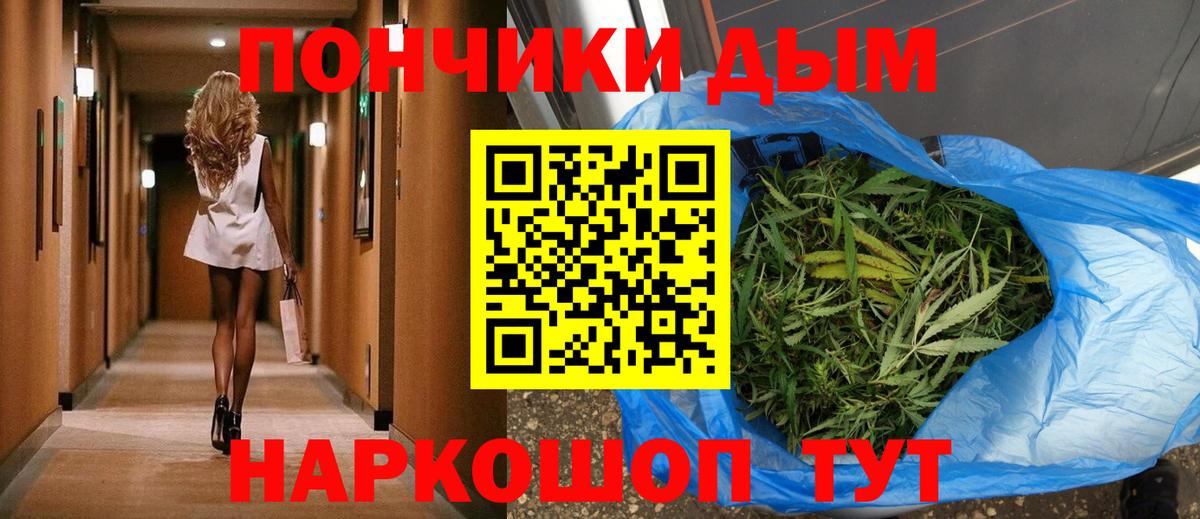 Шишки марихуана план  Вход с VPN  Шишки марихуана OG Kush  Бошки марихуана SATIVA & INDICA  Губаха  Бошки Шишки планчик 
